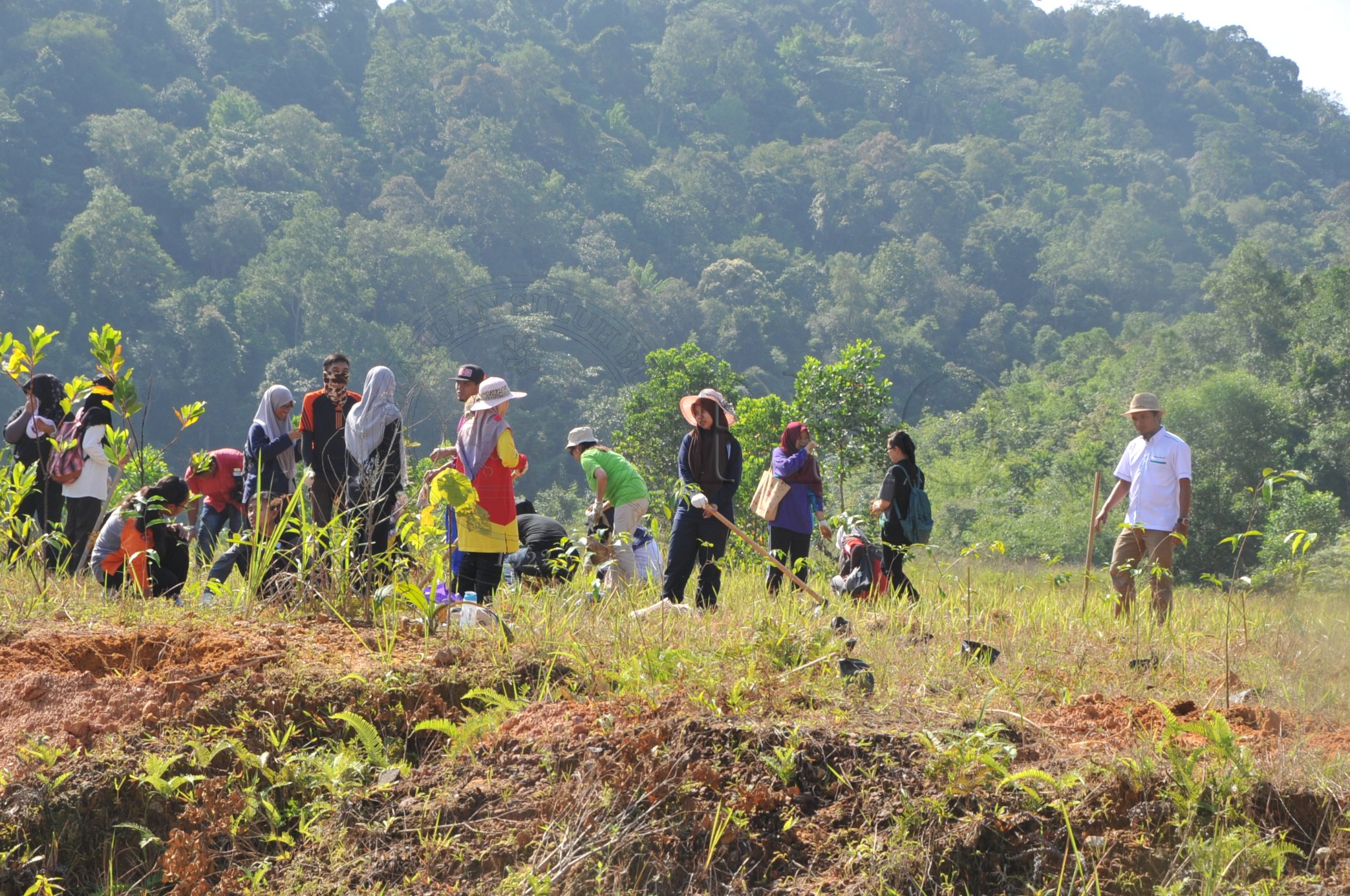 PRO 14 48 KARAS PRO 6742